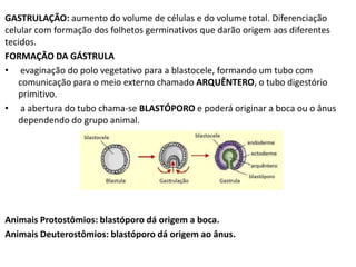 GASTRULAÇÃO: aumento do volume de células e do volume total. Diferenciação
celular com formação dos folhetos germinativos que darão origem aos diferentes
tecidos.
FORMAÇÃO DA GÁSTRULA
• evaginação do polo vegetativo para a blastocele, formando um tubo com
comunicação para o meio externo chamado ARQUÊNTERO, o tubo digestório
primitivo.
• a abertura do tubo chama-se BLASTÓPORO e poderá originar a boca ou o ânus
dependendo do grupo animal.

Animais Protostômios: blastóporo dá origem a boca.
Animais Deuterostômios: blastóporo dá origem ao ânus.

 