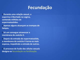 Fecundação
Durante uma relação sexual, o
esperma é libertado na vagina,
contendo milhões de
espermatozóides.
 Apenas alguns alcançam as trompas de
falópio.
 um consegue atravessar a
 Só
membrana do ovócito II.
Depois da entrada do espermatozóide,
a membrana do ovócito II torna‐se mais
espessa, impedindo a entrada de outros.

 processo de fusão das células sexuais
 O
designa-se fecundação ou fertilização.
 