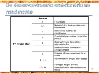 Semana
                 1       Fecundação
                         Nidação (inicio do desenvolvimento
                1-3
                         embrionário)
                         Detecção da ausência de
                 4
                         menstruação
                         Possibilidade de um teste de gravidez
                 5
                         positivo
                         Desenvolvimento do cérebro e
                 6
1º Trimestre             principais órgãos
                         Desenvolvimento do cérebro e
                 7
                         principais órgãos
                         Embrião/ feto com capacidade de se
                 8
                         mover
                         Movimentos dos braços, pés e cabeça
               9 - 11

                         Formação dos pés e dedos;
               12 - 14   Desenvolvimento das caracteristicas
                                                                 12
                         faciais
 