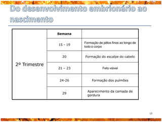 Semana

                         Formação de pêlos finos ao longo de
               15 - 19
                         todo o corpo


                 20      Formação do escalpe do cabelo

2º Trimestre
               21 – 23               Feto viável


                24-26         Formação dos pulmões


                           Aparecimento da camada de
                 29
                           gordura




                                                               13
 
