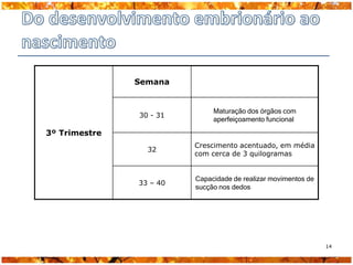 Semana


                              Maturação dos órgãos com
               30 - 31
                              aperfeiçoamento funcional

3º Trimestre
                         Crescimento acentuado, em média
                 32
                         com cerca de 3 quilogramas


                         Capacidade de realizar movimentos de
               33 – 40
                         sucção nos dedos




                                                                14
 