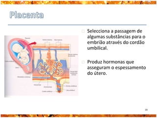    Selecciona a passagem de
    algumas substâncias para o
    embrião através do cordão
    umbilical.

   Produz hormonas que
    asseguram o espessamento
    do útero.




                             16
 