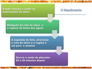 A mãe começa a sentir as
contracções do útero




   Dilatação do colo do útero e
   a ruptura da bolsa das águas




      A expulsão do feto, atravessa
      o colo do útero e a vagina e
      sai para o exterior




         Ocorre a saída da placenta
         20 a 30 minutos depois
 