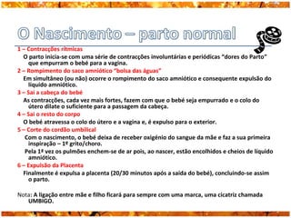 1 – Contracções rítmicas
  O parto inicia-se com uma série de contracções involuntárias e periódicas “dores do Parto”
    que empurram o bebé para a vagina.
2 – Rompimento do saco amniótico “bolsa das águas”
  Em simultâneo (ou não) ocorre o rompimento do saco amniótico e consequente expulsão do
    líquido amniótico.
3 – Sai a cabeça do bebé
  As contracções, cada vez mais fortes, fazem com que o bebé seja empurrado e o colo do
    útero dilate o suficiente para a passagem da cabeça.
4 – Sai o resto do corpo
  O bebé atravessa o colo do útero e a vagina e, é expulso para o exterior.
5 – Corte do cordão umbilical
   Com o nascimento, o bebé deixa de receber oxigénio do sangue da mãe e faz a sua primeira
    inspiração – 1º grito/choro.
   Pela 1ª vez os pulmões enchem-se de ar pois, ao nascer, estão encolhidos e cheios de líquido
    amniótico.
6 – Expulsão da Placenta
  Finalmente é expulsa a placenta (20/30 minutos após a saída do bebé), concluindo-se assim
    o parto.

Nota: A ligação entre mãe e filho ficará para sempre com uma marca, uma cicatriz chamada
   UMBIGO.
 