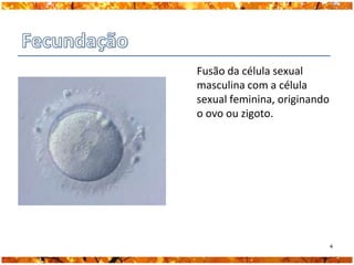 Fusão da célula sexual
masculina com a célula
sexual feminina, originando
o ovo ou zigoto.




                              4
 