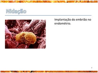 Implantação do embrião no
endométrio.




                            7
 