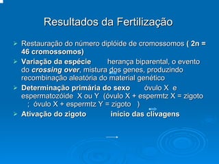 Resultados da Fertilização Restauração do número diplóide de cromossomos  ( 2n = 46 cromossomos) Variação da espécie   herança biparental, o evento do  crossing over , mistura dos genes, produzindo recombinação aleatória do material genético Determinação primária do sexo   óvulo X  e espermatozóide  X ou Y  (óvulo X + espermtz X = zigoto  ;  óvulo X + espermtz Y = zigoto  )  Ativação do zigoto  início das clivagens 