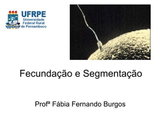 Fecundação e Segmentação


  Profª Fábia Fernando Burgos
 