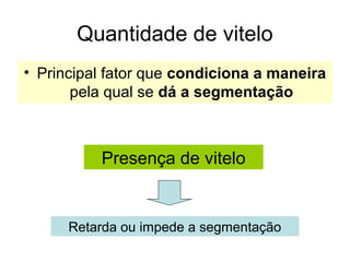 Quantidade de vitelo
• Principal fator que condiciona a maneira
       pela qual se dá a segmentação



          Presença de vitelo


      Retarda ou impede a segmentação
 