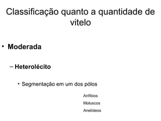 Classificação quanto a quantidade de
                 vitelo

• Moderada

  – Heterolécito

    • Segmentação em um dos pólos

                           Anfíbios
                           Moluscos
                           Anelídeos
 