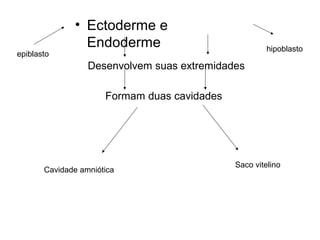 • Ectoderme e
                Endoderme                              hipoblasto
epiblasto
                  Desenvolvem suas extremidades

                      Formam duas cavidades




                                              Saco vitelino
       Cavidade amniótica
 