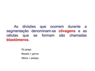 As divisões que ocorrem durante a
segmentação denominam-se clivagens e as
células que se formam são chamadas
blastômeros.

       Do grego
       Blastós = germe
       Méros = pedaço
 