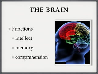 THE BRAIN

Functions
 intellect
 memory
 comprehension
 