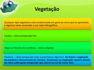 Vegetação