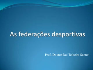 Prof. Doutor Rui Teixeira Santos
 