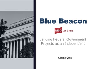 Blue Beacon
Landing Federal Government
Projects as an Independent
October 2016
 