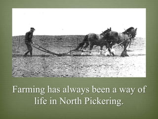 Farming has always been a way of
     life in North Pickering.
 
