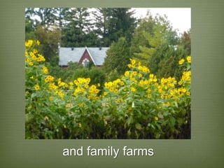 and family farms
 