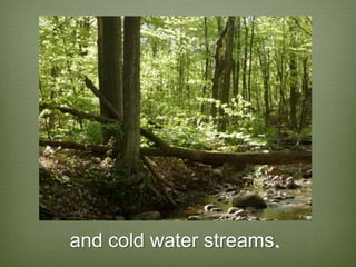 and cold water streams.
 