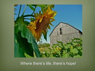 Where there’s life, there’s hope!
 
