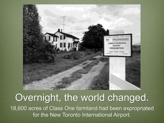 Overnight, the world changed.
18,600 acres of Class One farmland had been expropriated
         for the New Toronto International Airport.
 