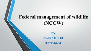 Federal management of wildlife
(NCCW)
BY
ZAINAB BIBI
18371514-045
 