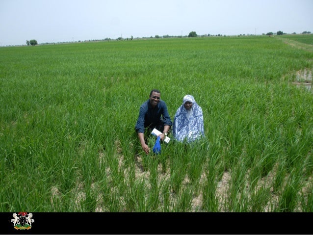 Federal Ministry of Agriculture and Rural Development