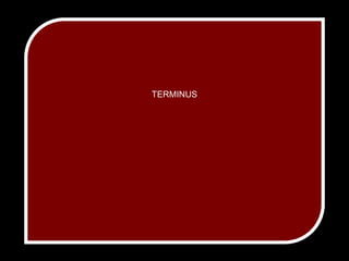 TERMINUS