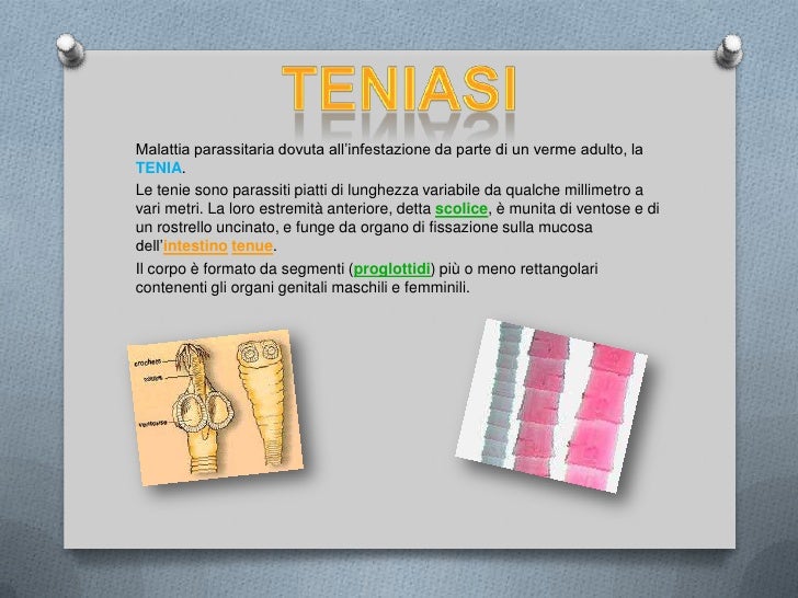 Targhe da vermi per la persona il prezzo Mosca