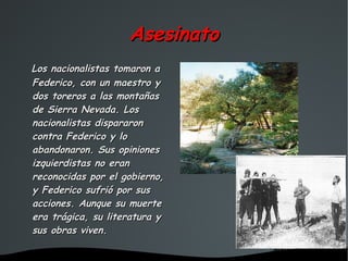 Asesinato
    Los nacionalistas tomaron a
  Federico, con un maestro y
  dos toreros a las montañas
  de Sierra Nevada. Los
  nacionalistas dispararon
  contra Federico y lo
  abandonaron. Sus opiniones
  izquierdistas no eran
  reconocidas por el gobierno,
  y Federico sufrió por sus
  acciones. Aunque su muerte
  era trágica, su literatura y
  sus obras viven.

                           
 