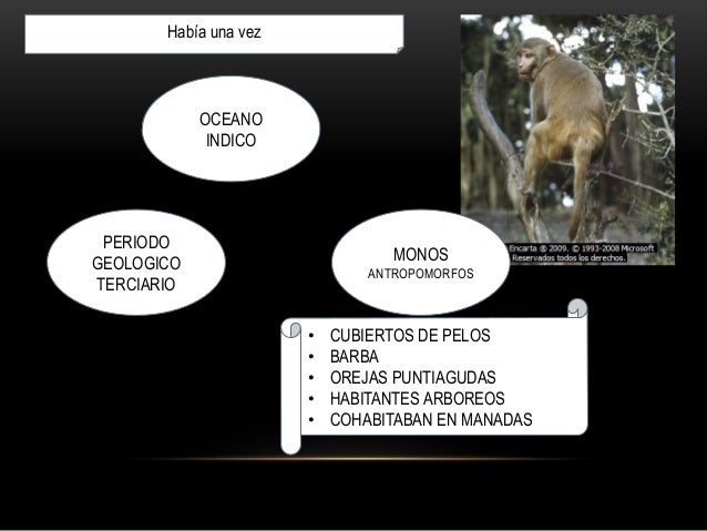 Federico engels, El papel del trabajo en la transformaciòn del mono e…