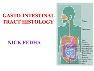 GASTO-INTESTINAL
TRACT HISTOLOGY
NICK FEDHA
 