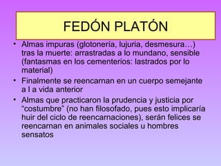 FEDÓN PLATÓN 
• Almas impuras (glotonería, lujuria, desmesura…) 
tras la muerte: arrastradas a lo mundano, sensible 
(fantasmas en los cementerios: lastrados por lo 
material) 
• Finalmente se reencarnan en un cuerpo semejante 
a l a vida anterior 
• Almas que practicaron la prudencia y justicia por 
“costumbre” (no han filosofado, pues esto implicaría 
huir del ciclo de reencarnaciones), serán felices se 
reencarnan en animales sociales u hombres 
sensatos 
 