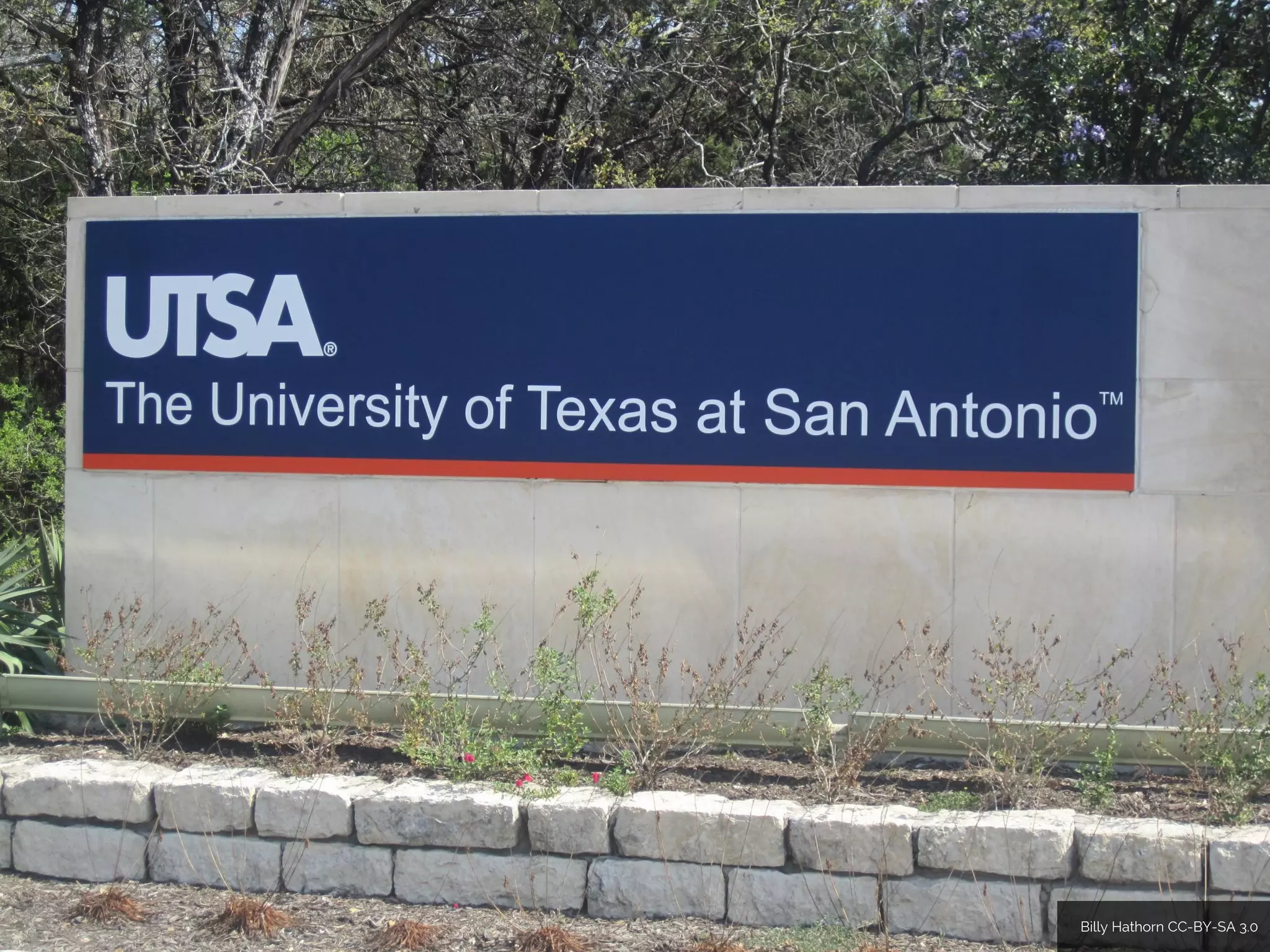 Billy Hathorn CC-BY-SA 3.0
 