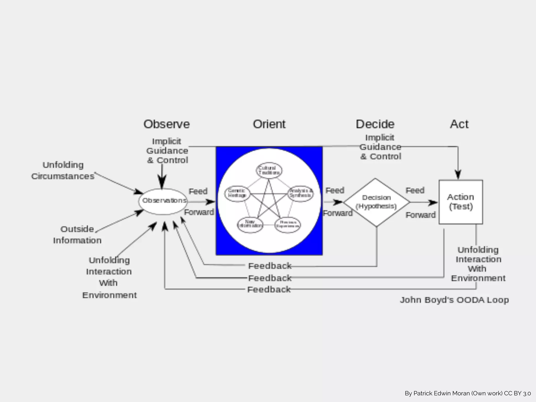 By Patrick Edwin Moran (Own work) CC BY 3.0
 