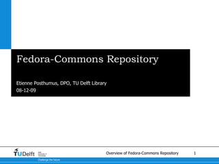 Fedora-Commons Repository ,[object Object],Etienne Posthumus, DPO, TU Delft Library 08-06-09 