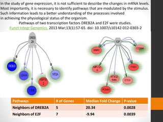 In the study of gene expression, it is not sufficient to describe the changes in mRNA levels. 
Most importantly, it is necessary to identify pathways that are modulated by the stimulus. 
Such information leads to a better understanding of the processes involved 
in achieving the physiological status of the organism. 
Pathways of two transcription factors DREB2A and E2F were studies. 
Funct Integr Genomics. 2013 Mar;13(1):57-65. doi: 10.1007/s10142-012-0303-2 
Pathways # of Genes Median Fold Change P-value 
Neighbors of DREB2A 5 20.34 0.0028 
Neighbors of E2F 7 -9.94 0.0039 
 