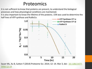 Proteomics 
It is not sufficient to know that proteins are present, to understand the biological 
processes and how physiological conditions are maintained. 
It is also important to know the lifetime of the proteins. 15N was used to determine the 
half lives of ATP synthase and RuBisCo. 
Sauer ML, Xu B, Sutton F (2014) Proteome Sci. 2014; 12: 14. Mar 3, doi: 10.1186/1477- 
5956-12-14 
 