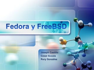 Fedora y FreeBSD Joseph Castillo  Cesar Acosta Rory González 