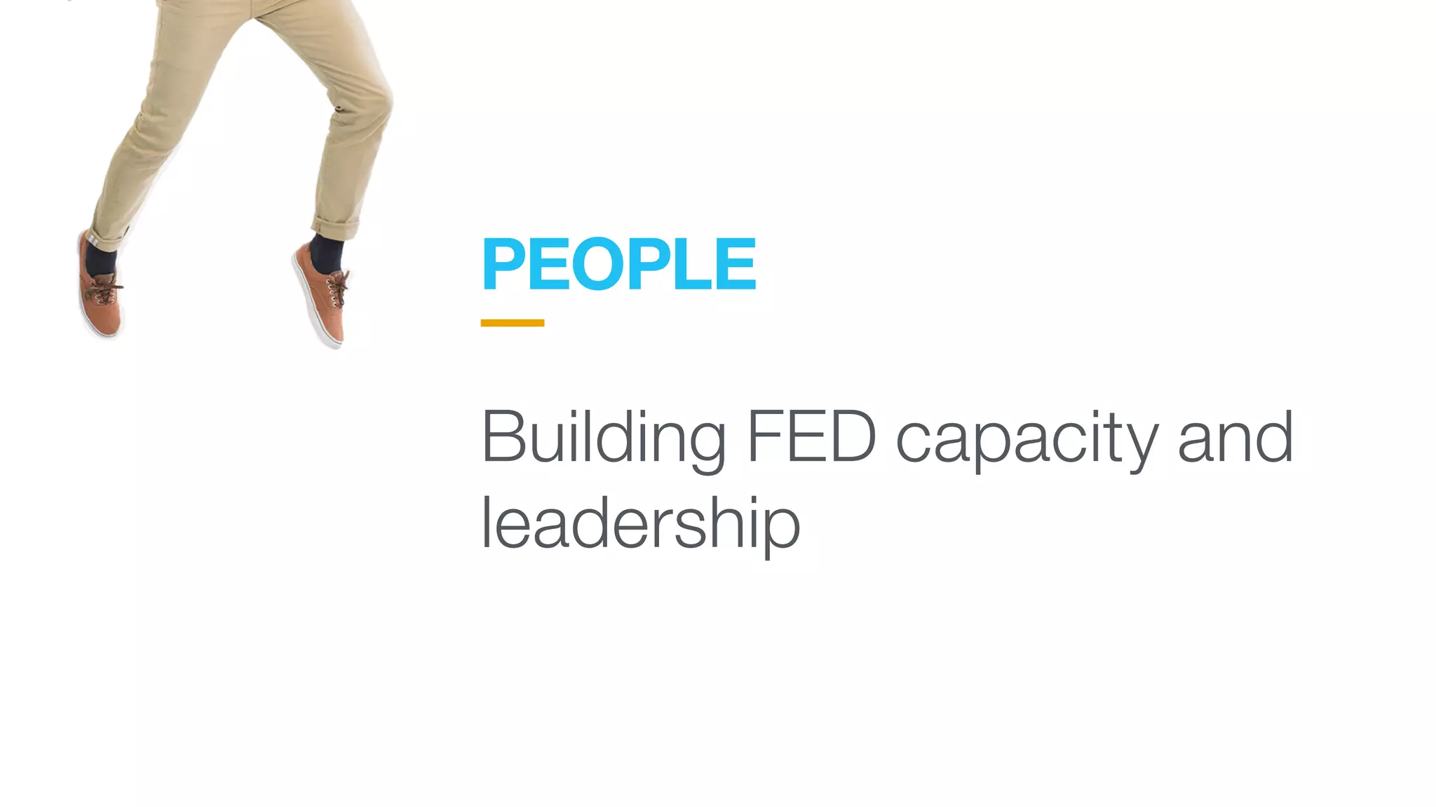 PEOPLE
 
Building FED capacity and
leadership
 