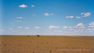 By User:Doron (Own work) CC-BY-SA-3.0 via Wikimedia Commons
 