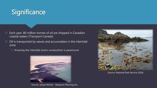 Significance
 Each year, 80 million tonnes of oil are shipped in Canadian
coastal waters (Transport Canada)
 Oil is transported by waves and accumulates in the intertidal
zone
 Knowing the intertidal zone’s composition is paramount
Source: National Park Service (USA)
Source: Jacqui Michel - Research Planning Inc.
 