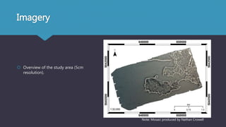 Imagery
 Overview of the study area (5cm
resolution).
Note: Mosaic produced by Nathan Crowell
 