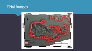 Tidal Ranges
 