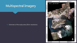 Multispectral Imagery
 Overview of the study area (20cm resolution).
 