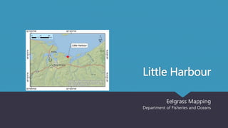Little Harbour
Eelgrass Mapping
Department of Fisheries and Oceans
 
