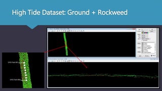 High Tide Dataset: Ground + Rockweed
 
