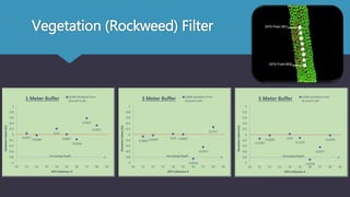Vegetation (Rockweed) Filter
 