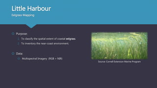 Little Harbour
Eelgrass Mapping
 Purpose:
1. To classify the spatial extent of coastal eelgrass.
2. To inventory the near-coast environment.
 Data:
 Multispectral Imagery (RGB + NIR)
Source: Cornell Extension Marine Program
 