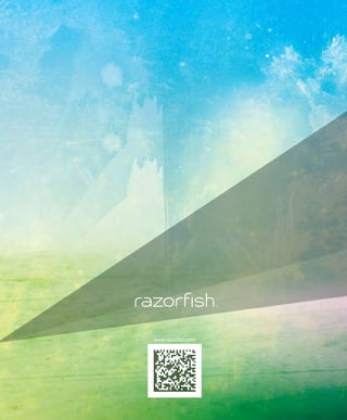 Razorfish Consumer Experience Report